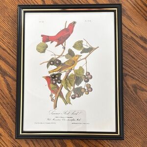 Vintage Audubon Page Print